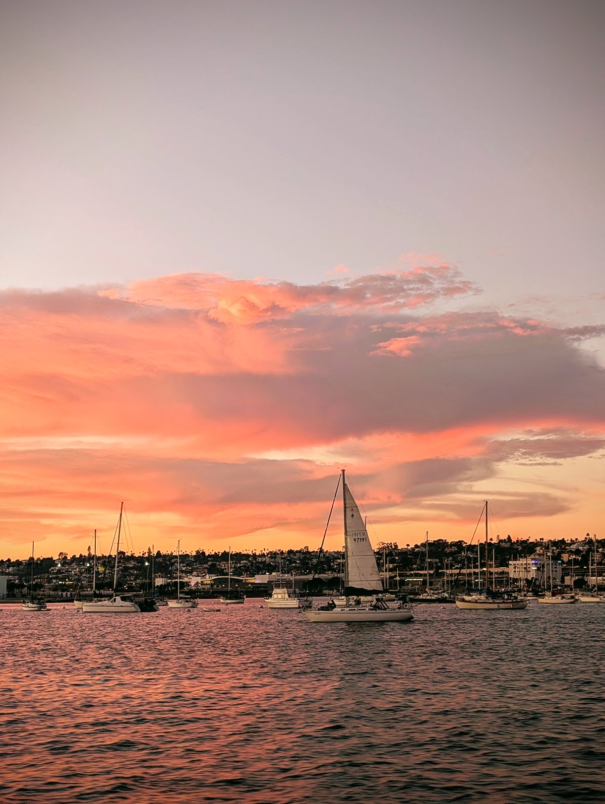 Pink sunset over the marina